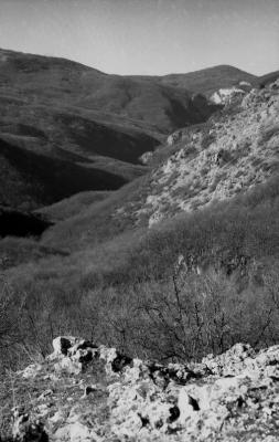 Прикрепленное изображение: tlGf5BgG0xE.jpg